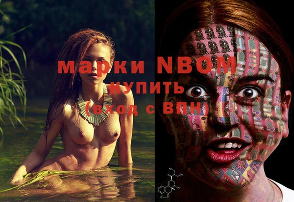 ПСИЛОЦИБИНОВЫЕ ГРИБЫ Верея